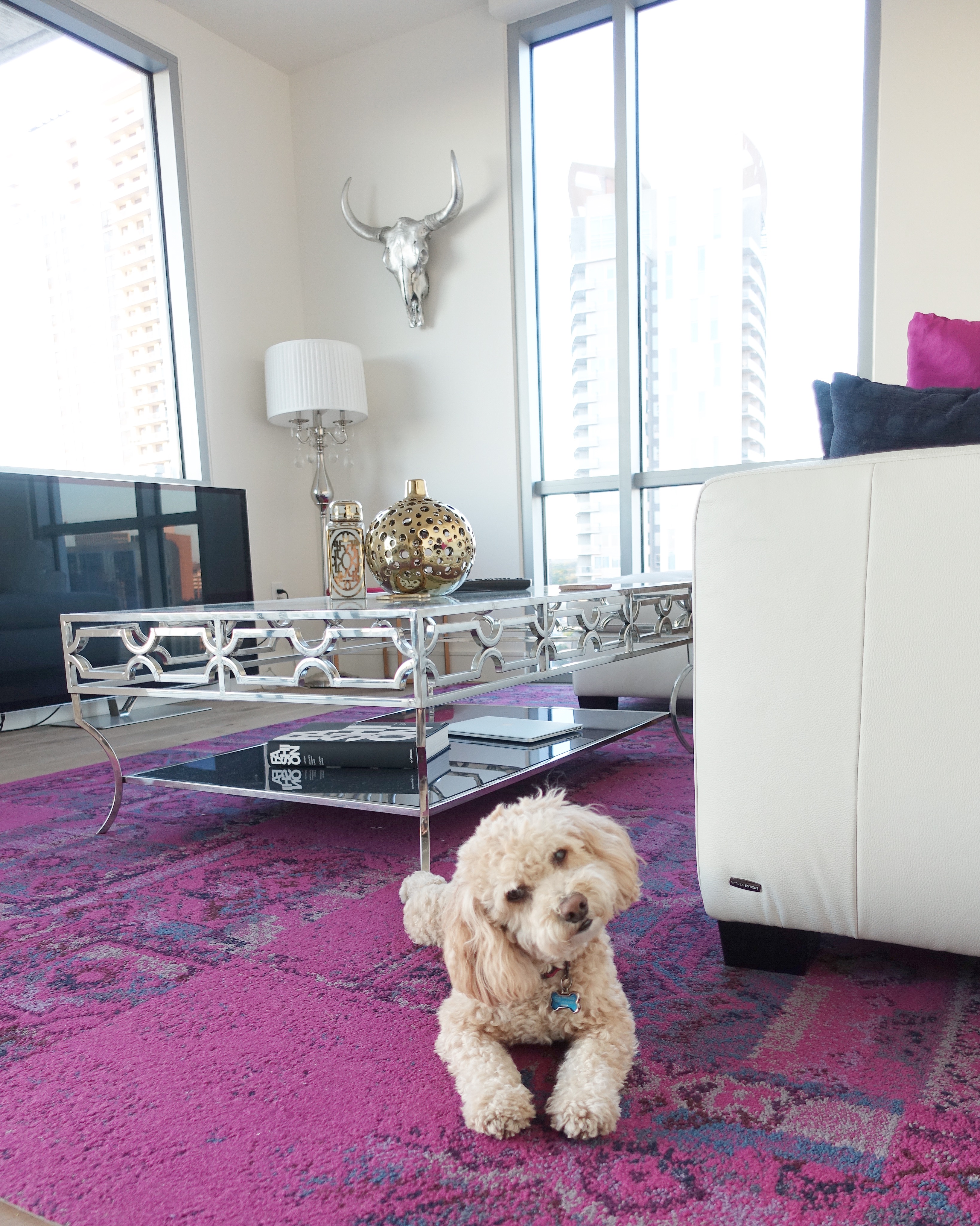 downtown-condo-z-gallerie-silver-skull-silver-table-poodle-dog
